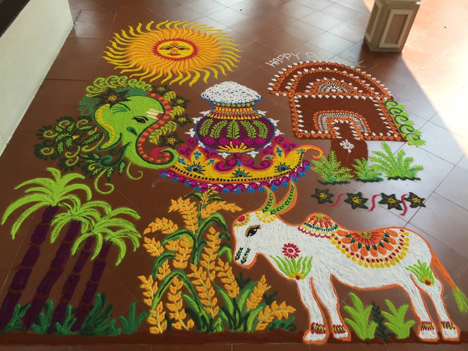 pongal kolam design by mash 6