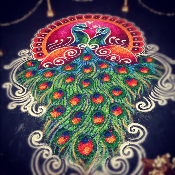 peacock rangoli design by usha joy 10