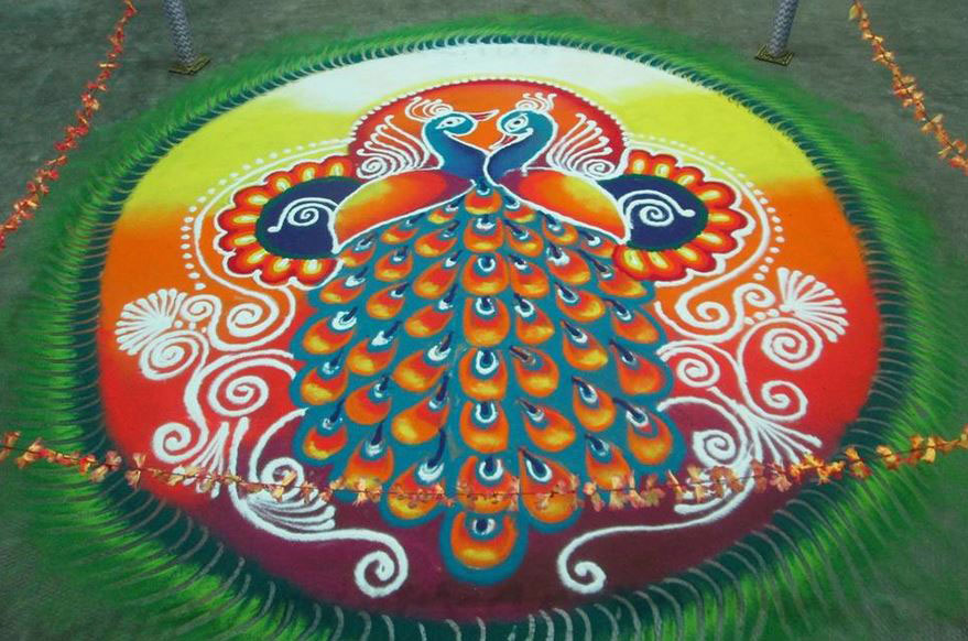 peacock rangoli design 9